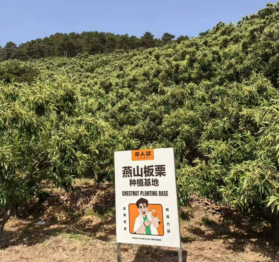 自营种植基地